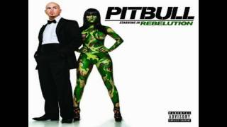 Pitbull Rebelution 2009 Album mix HD