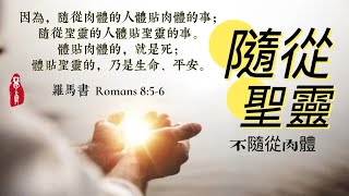 跟隨生命和平安的聖靈腳步@羅馬書‬ ‭ ‭‭Romans‬ 8‬:‭5‬-‭10‬ ‭ 【經文歌創作】#662 隨從聖靈the mind governed by the Spirit.