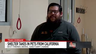 Kanab Best Friends Animal Society rushes to rescue and rehome pets displaced by LA fires