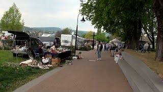 Braubacher Flohmarkt in den Rheinanlagen