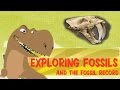 Exploring Fossil Records How Fossils Are Formed Interesting Educational Videos For Kids Exploring Fossil Records How Fossils Are Formed Interesting Educational Videos For Kids