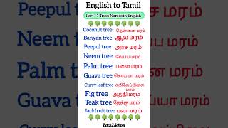 🌳Trees Names in English and Tamil#tree #howtospeakenglisheasily #shorts