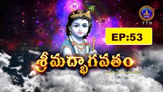 శ్రీమద్భాగవతం || Srimadbhagavatham || Sri K.V.S.V.G.Seshacharyulu || Ep 53 || 17-01-2025 || SVBC TTD