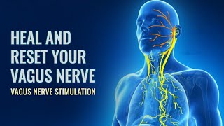 Vagus Nerve  Reset To Release Trauma Stored In The Body | Parasympathetic Nervous system Stimulation