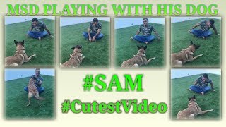 MS Dhoni Playing with his Dog | Dog Mirror Training | Cricket Cracker