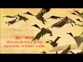 蔡琴 李清照《如夢令》常記溪亭日暮 bello poema de li qngzhao “un paseo inolvidable” canta chai qing