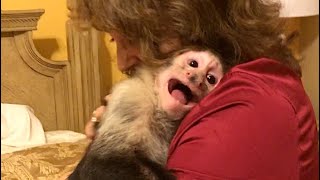 Capuchin Monkey Missed Grandma!!