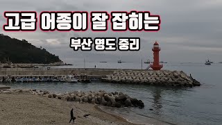 부산 영도 명포인트 빅4(영도 중리편)