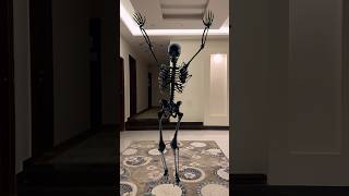 We entered our house and a skeleton appeared to us