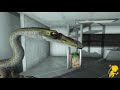 jMonkeyEngine 3 showcase