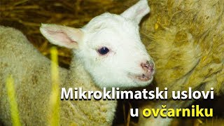 Mikroklimatski uslovi u ovčarniku