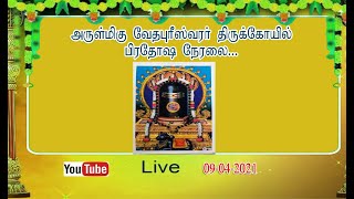 Thiruverkadu Veedapuriswarar Pradosham Live