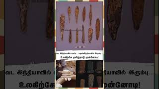 வட இந்தியாவில் செப்பு...தென்னிந்தியாவில் இரும்பு...உலகிற்கே தமிழ்நாடு முன்னோடி! | மின்னம்பலம் தமிழ்