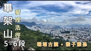 【香港行山】麥理浩徑5 - 6段｜獅子山 畢架山 鷹巢山 九龍水塘 金山 孖指徑 城門碉堡 城門水塘｜猴子猴孫｜熱門路線