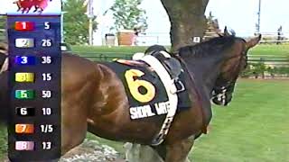 2003 Breeders Stakes - (Full Sportsnet Coverage)