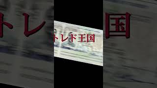 存在しない国トレド王国#shorts #存在しない国