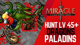 MIRACLE HUNTS; PALADIN 45+ DRAGONS ANKRAHMUN