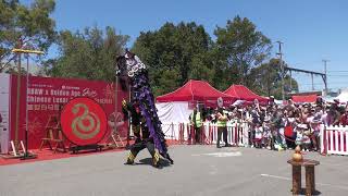 2025 - CYSM performs at the Box Hill Lunar New Year Festival (1:30PM)