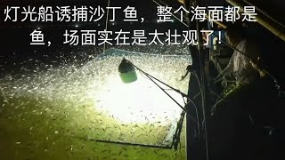 灯照网船出海捕捞沙丁鱼爆仓收获满满整个海面都是沙丁鱼场面太壮观了！