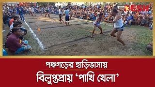 পঞ্চগড়ের হাড়িভাসায় হয়ে গেল বিলুপ্তপ্রায় ‘পাখি খেলা’ | Pakhi Khela | Panchagarh News | Desh TV