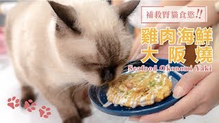 寵物鮮食食譜｜補救腎貓食慾鮮食，雞肉海鮮大阪燒 seafood okonomi yaki【自然好食光EP14】