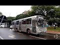 história evolução do marcopolo torino o ônibus que atravessa gerações