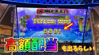 【ビクトリー】あの恐竜がいるメダルゲームを今更ながら、やってきました！