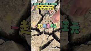 看吧，睡觉不能露脚，容易被抓走，甲鱼：别拉我小手手。 #shorts