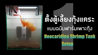 EP.5 ตั้งตู้เลี้ยงกุ้งแคระ แบบฉบับฟาร์มเพาะกุ้ง Neocaridina Shrimp Tank Setup