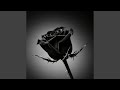 Black Rose