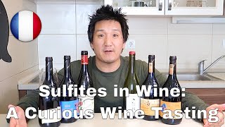 Sulfites in Wine: A Curious Wine Tasting