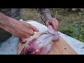 Wild Rabbit ~ Hunt, Clean, Cook, Chomp & Chew ~ Clay Tall Stories