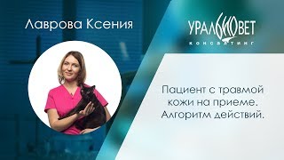 Пациент с травмой кожи на приеме. Алгоритм действий. Лаврова Ксения #убвк_хирургия