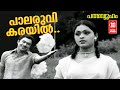 Palaruvi Karayil || Padmavyooham || MK Arjunan || KJ Yesudas || Evergreen Romantic Songs