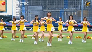 【2024爪嗨賴】09/07 PS女孩全新單曲【Go! Passion Go!】在洲際球場首度公開，活潑、青春的舞蹈為今天比賽開場。CTBC Brothers 中信兄弟