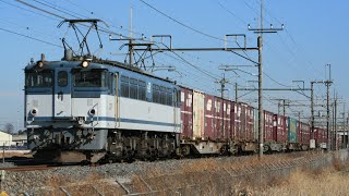 JR貨物 EF65-2037牽引 コンテナ貨物 JR東北本線(宇都宮線) 栗橋～東鷲宮 区間