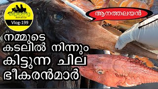 NeendakaraFishing Harbour Kollam Kerala   #neendakara #fishmarket