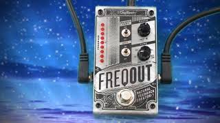 The DigiTech FreqOut! A TPG #FunkyFind ThePedalGuy