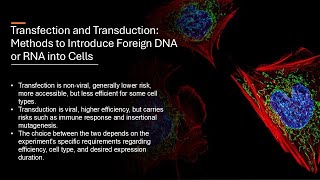 Transfection and Transduction: Methods to Introduce Foreign DNA or RNA into Cells (Notes included)