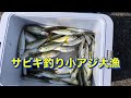 『アジュール舞子』アジ＆カワハギ二刀流狙い！　fishingmax垂水店