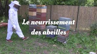 [Tuto] Le nourrissement des abeilles