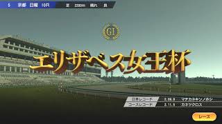 エリザベス女王杯（G1）ドドドードドードド　ドードママ