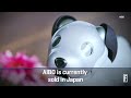 sony’s robotic dog is back i fortune