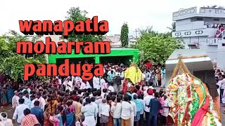 wanapatla moharram panduga/ #youtube