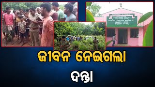 ଜୀବନ ନେଇଗଲା ଦନ୍ତା    | Odisha Reporter