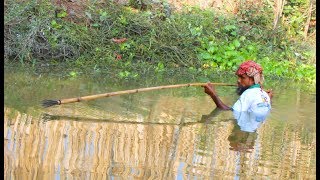 New Technique of Catching Country Fish - Traditional Fish Hunting Technique in village