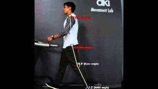 2D Gait Analysis sagittal left no backpack 03 Dec 2015 overlay