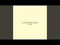 Forest Ember Dream