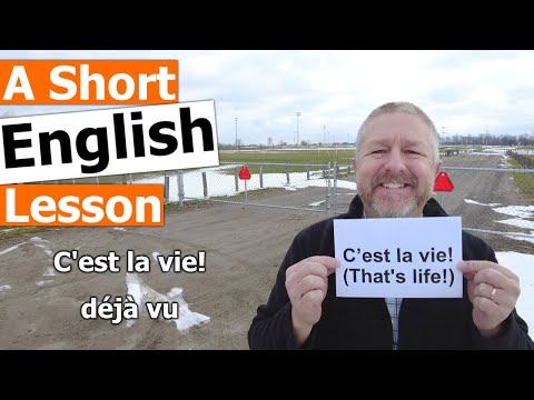 Is vie in the English dictionary?