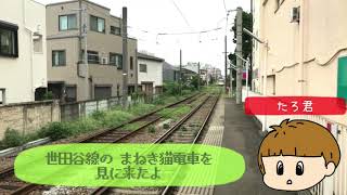 世田谷線の 幸福の招き猫電車【たまにゃん電車】を 見て来たよ